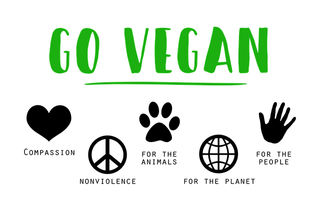 Vegánstvo je ideál a presvedčenie, nie cesta k štíhlej línii