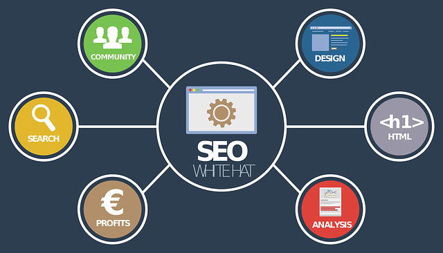 Prečo je pre Váš web dôležitý linkbuilding či budovanie spätných odkazov
